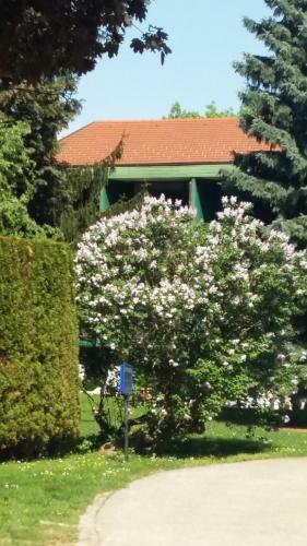 Hostal Gasthof Manhalter
