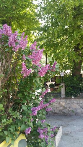 Hostal Gasthof Manhalter