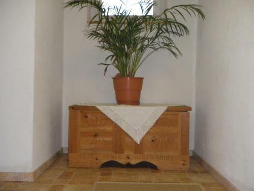 Apartamento Shoamatl