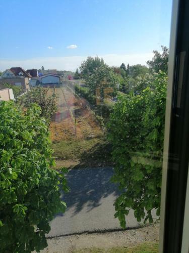 Apartamento Campingblick-g�stehaus-ferienwohnungen