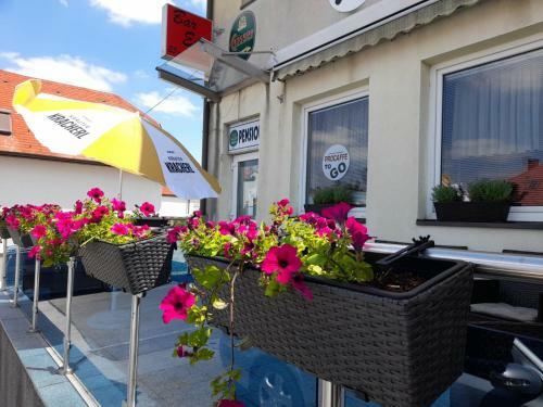 Bed & Breakfast Pension Seeblick Purbach