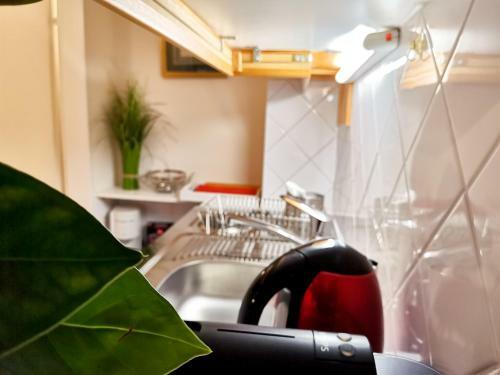 Apartamento G�stehaus Doris