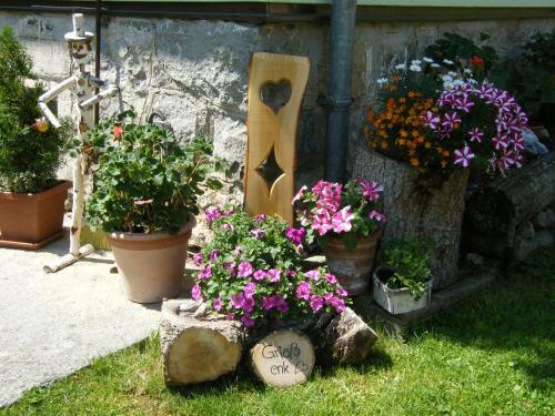 Agroturismo Hintereggerhof