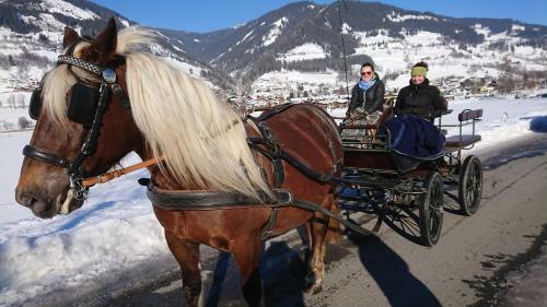 Apartamento Ferienhaus Hohe Tauern