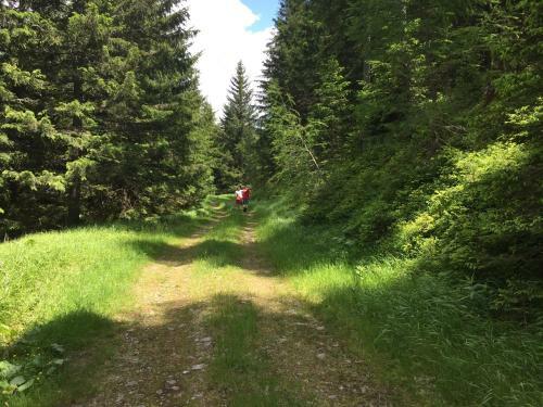 Apartamento Ferienwohnungen Danglmaier - Stallbauer