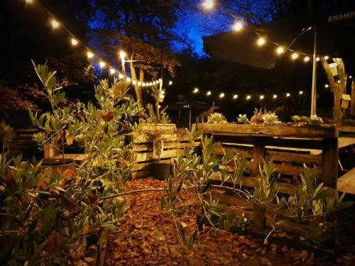 Bed & Breakfast Bosbaar