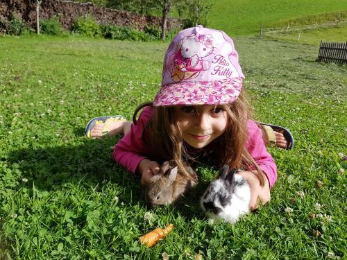Agroturismo Biobauernhof Sch�ttelbauer