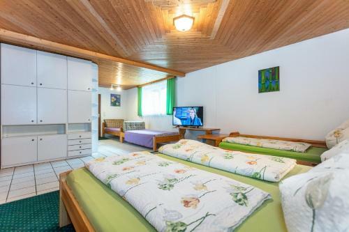Ferienhaus Gro�venediger