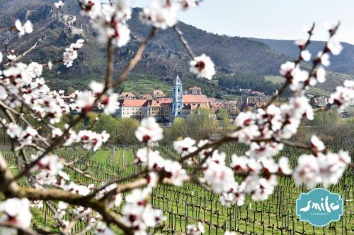 Donau Strandhaus Mit D�rnstein Panorama