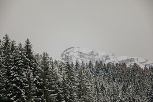 Hygna Chalets