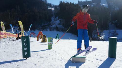 Hostal Pension Alpina