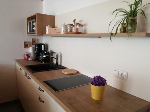 Hostal Haus M�ller