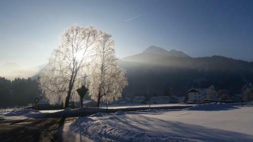 Apartamento Ferienwohnung Lechleitner