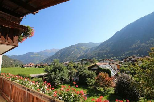 Hostal Pension Delacher