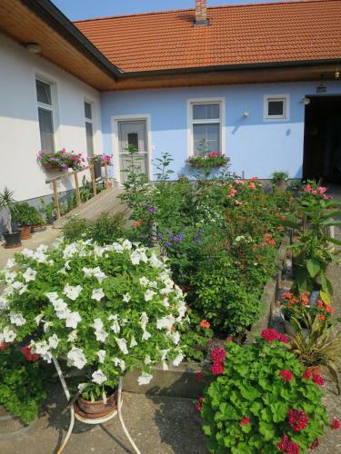 Apartamento Ferienwohnungen Sattler