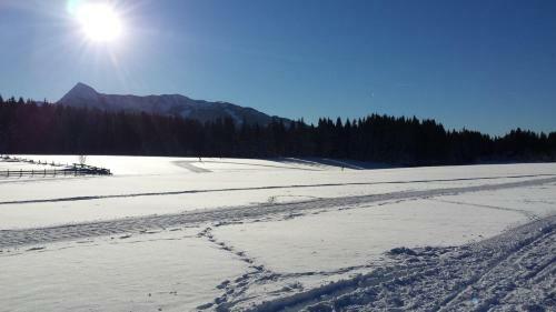 Apartamento Haus Feriengl�ck