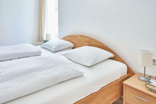 Mountain View Ski Apartment Rauris