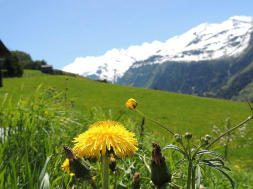 Apartamento Ferienhaus Tauernblick