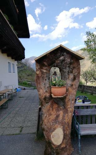 Apartment Lainer