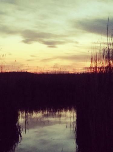 Pfahlbau Rust/neusiedlersee Sunset I