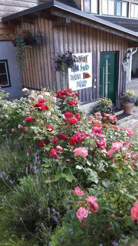 Agroturismo Steinerhof