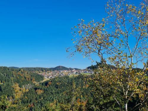 Bed & Breakfast G�stehaus Weitblick