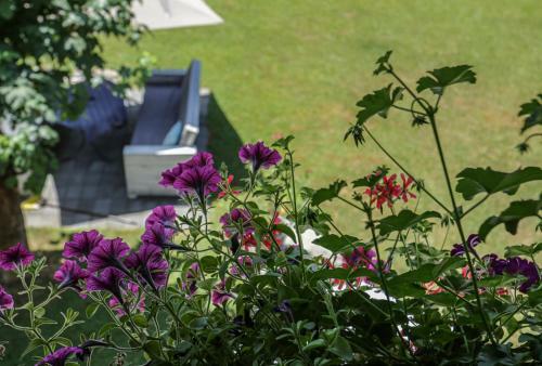 Hostal Pension Villa Louise