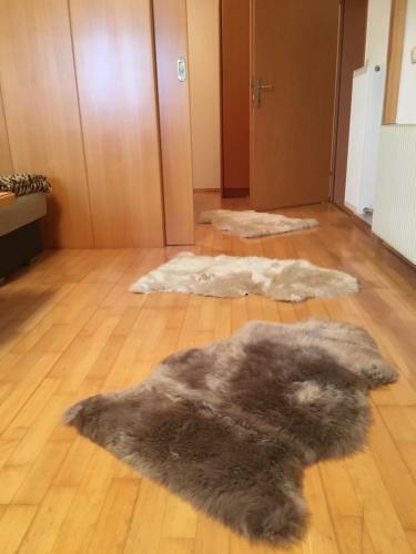 Apartamento Haus Christina