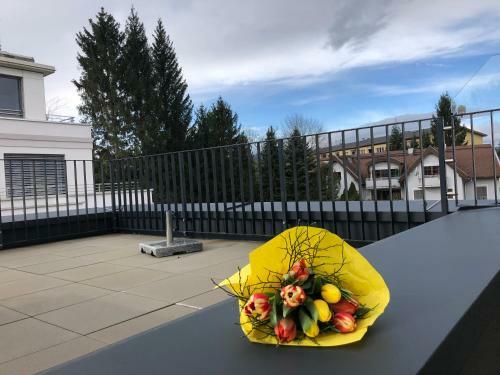 Apartamento Ceconi-loft Alice