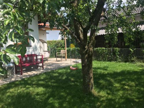 Knusperhaus Mit Garten