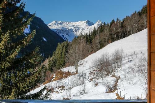 Apartamento Appartementhaus Tannenberg