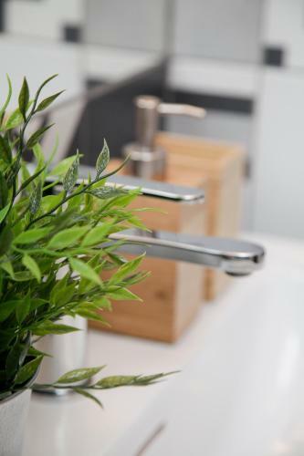 Luxury Apartment Sp�len�