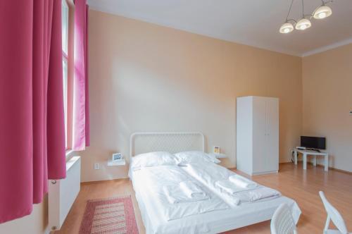Modern Apartment Wenzigova 13