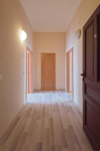 Modern Apartment Wenzigova 13