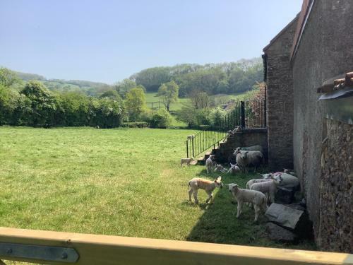 Hayloft