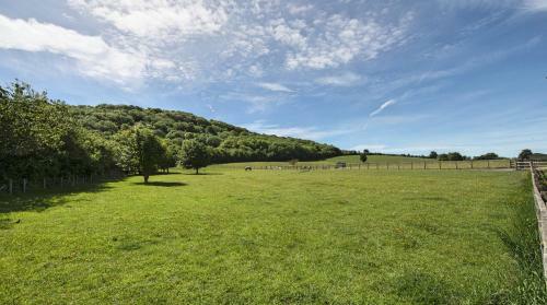 The Hedgerow At Wainhill