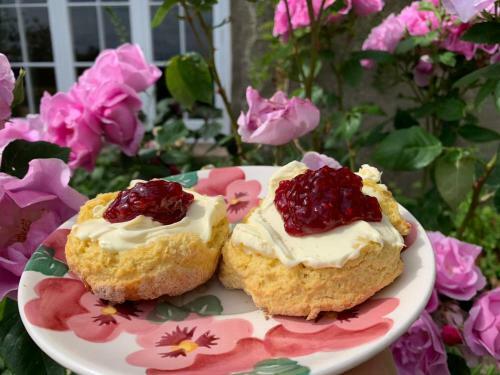 Bed & Breakfast Higher Biddacott Farm