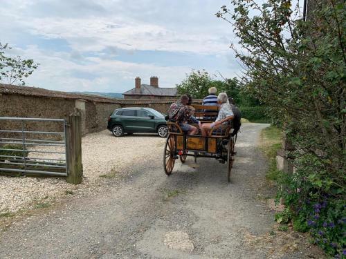 Bed & Breakfast Higher Biddacott Farm