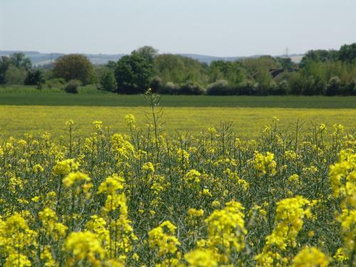 Zouch Farm Bed & Breakfast