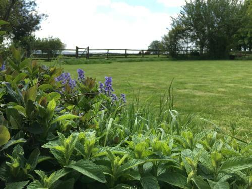 Bed & Breakfast Cotswolds Mine Hill House