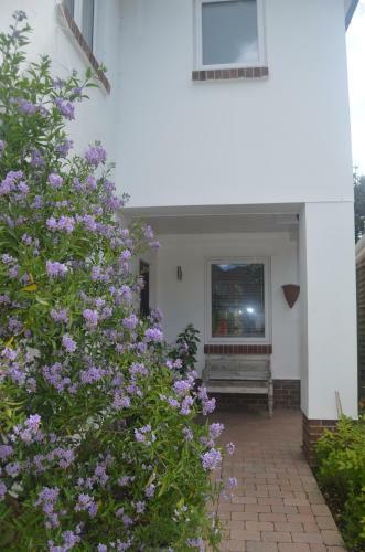 Hostal Windy Willums