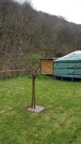 Glan Mydyr Woodland Yurts