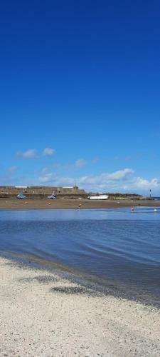 Glan Mydyr Woodland Yurts