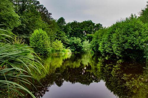 Lloyds Meadow Glamping