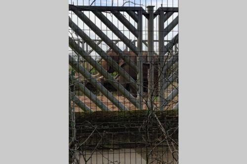 Detached Self Contained Apartment, Picturesque, Views Toward Chester Zoo