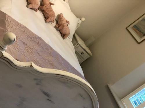 Bed & Breakfast Holywell Lodge Nr Stamford