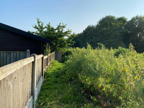 Bed & Breakfast Shrublands Garden Cabin