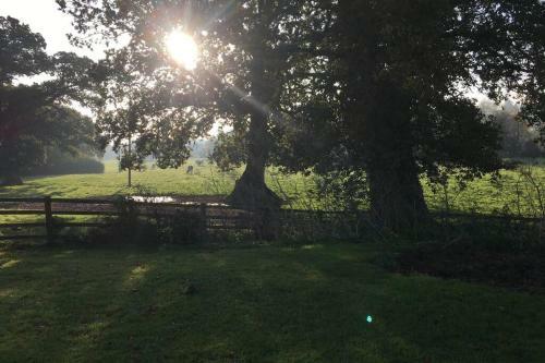 Beautiful Cottage In Stunning Devon