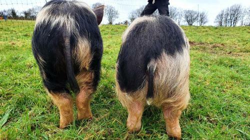 Yetland Farm Holiday Cottages