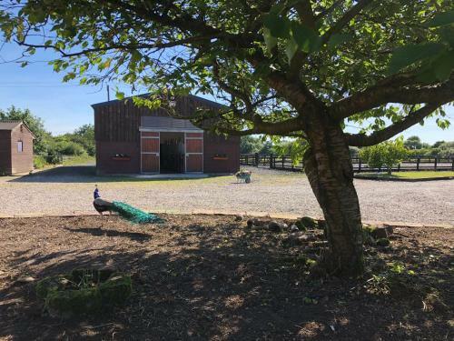 Agroturismo The Saddlery Cheshire